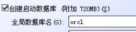 全局数据库名